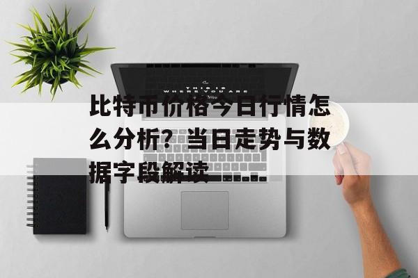 比特币价格今日行情怎么分析？当日走势与数据字段解读