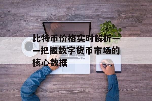 比特币价格实时解析——把握数字货币市场的核心数据