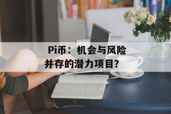 Pi币:机会与风险并存的潜力项目?